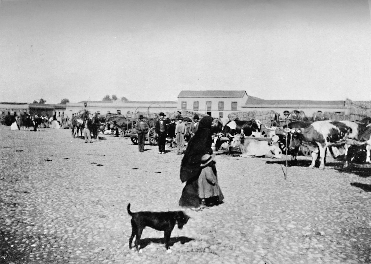 يوم السوق في شيلان ، 1911 بواسطة غير معروف