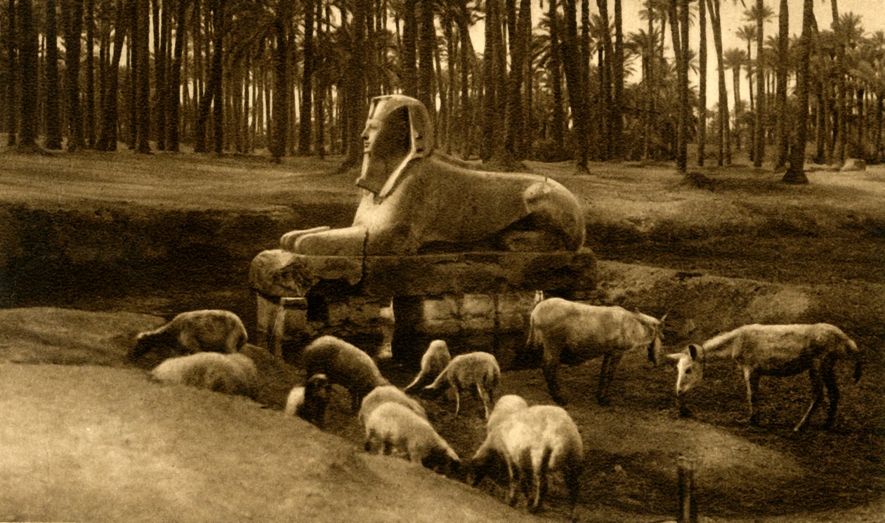 ممفيس - أبو الهول المرمر ، c1918-c1939. بواسطة غير معروف
