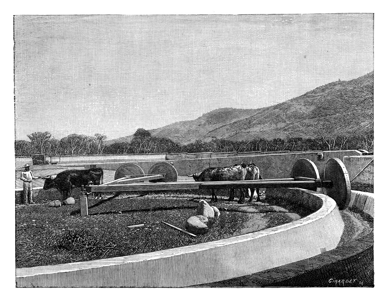 مطحنة لتحميص البن ، أمريكا الوسطى ، c1890 بواسطة غير معروف