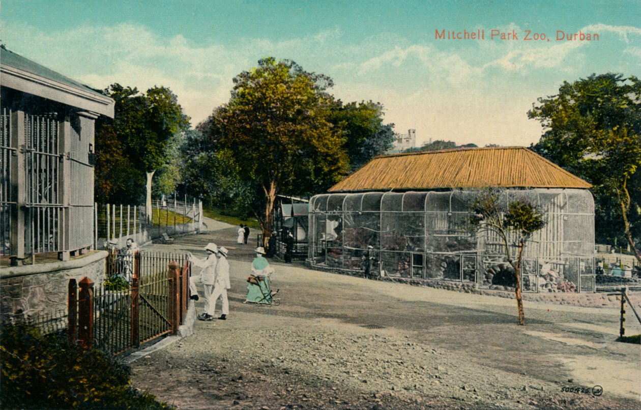 حديقة حيوان ميتشيل بارك ، ديربان ، c1915 بواسطة غير معروف