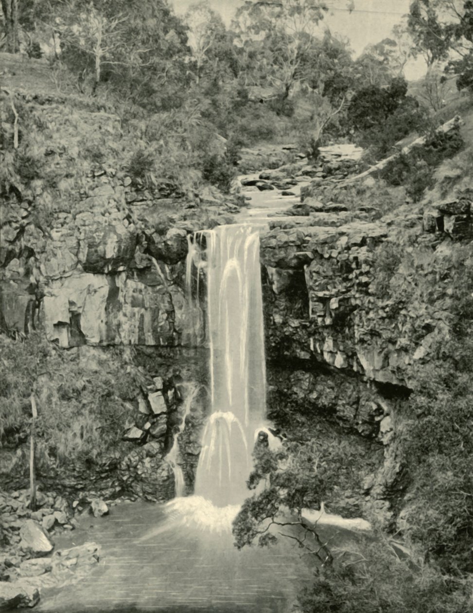 شلالات Moorabool ، فيكتوريا ، 1901. بواسطة غير معروف