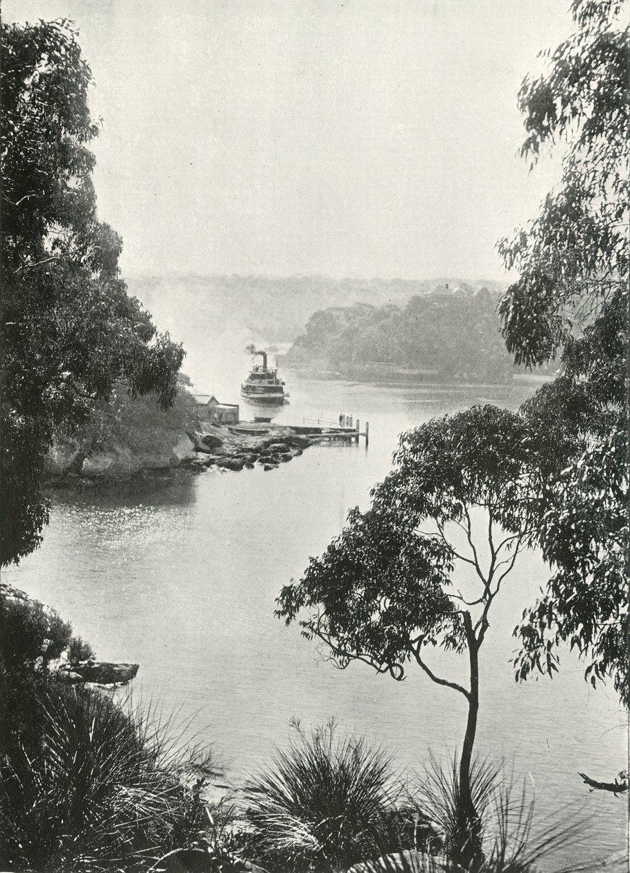 خليج Mosmans ، من Cremorne Jetty ، c1900. بواسطة غير معروف
