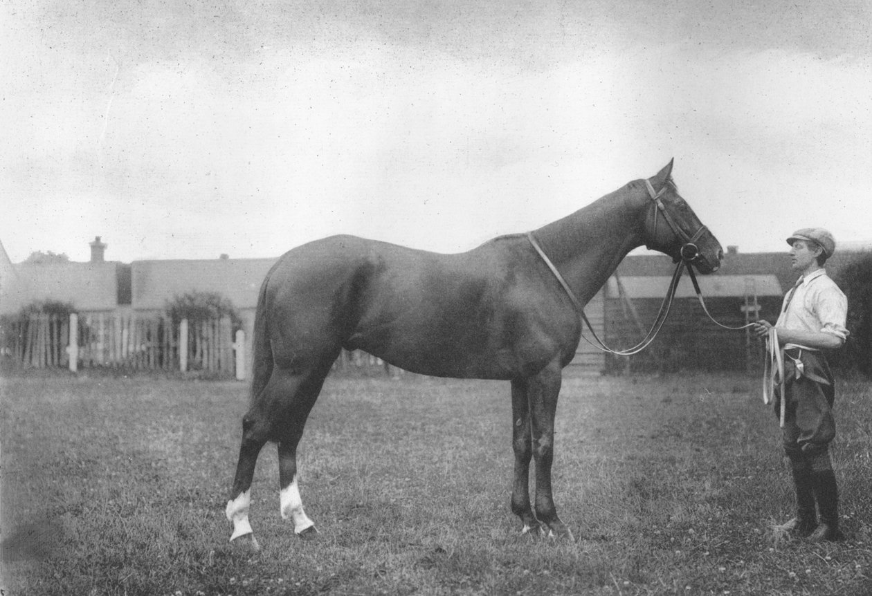 جبل آفاق فورتشن ، 1911 بواسطة غير معروف