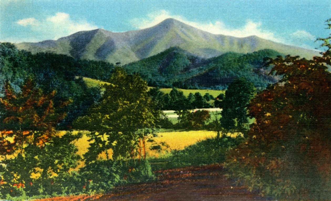 السيد Pisgah ، والفأر في المسافة ، غرب ولاية كارولينا الشمالية ، 1942. بواسطة غير معروف