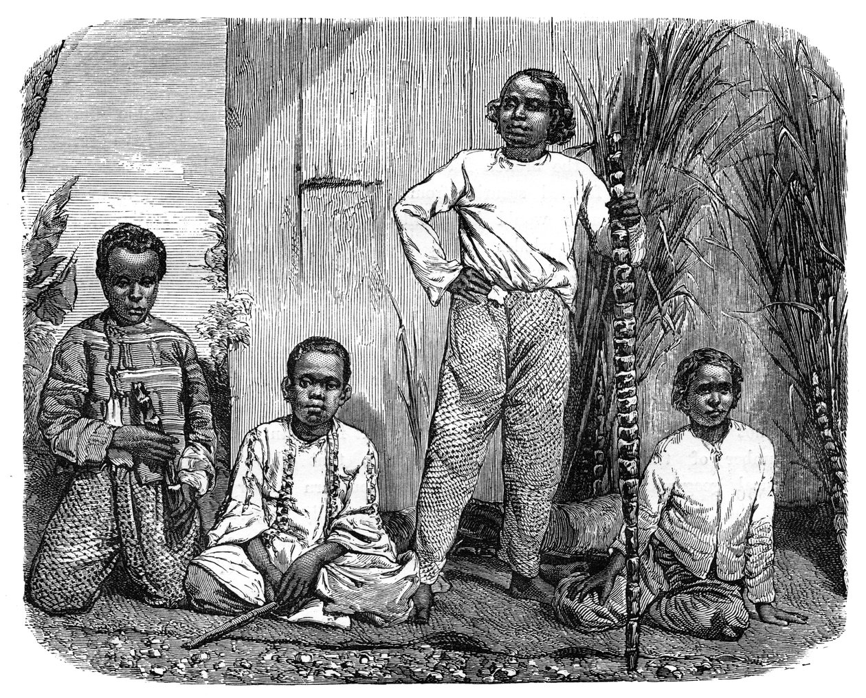 سكان جزيرة ريونيون ، c1890 بواسطة غير معروف