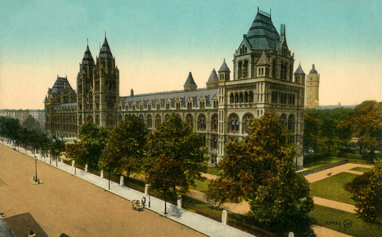 متحف التاريخ الطبيعي ، لندن ، c1910. بواسطة غير معروف