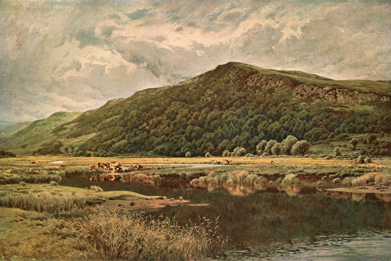 مرآة الطبيعة ، 1882 ، c1902. بواسطة غير معروف