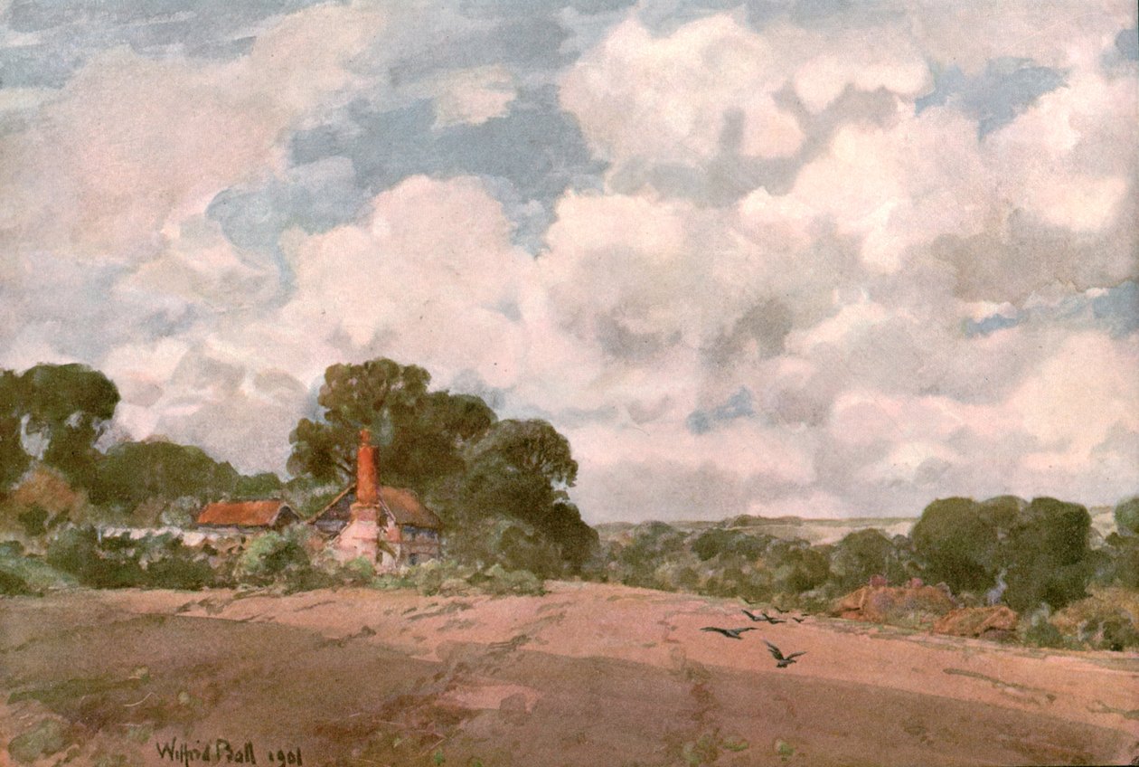 بالقرب من Hogsback ، ساري ، 1901. بواسطة غير معروف