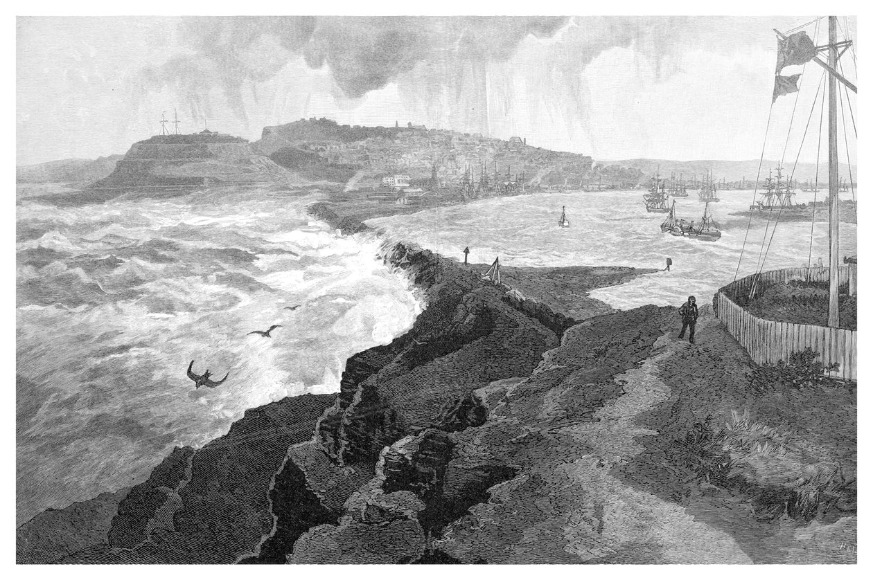 نيوكاسل ، من نوبيز هيد ، نيو ساوث ويلز ، أستراليا ، 1886 بواسطة غير معروف