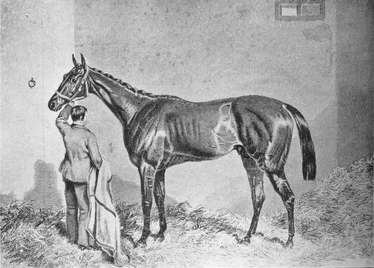 نيومينستر ، 1848-1868 ، 1911 بواسطة غير معروف