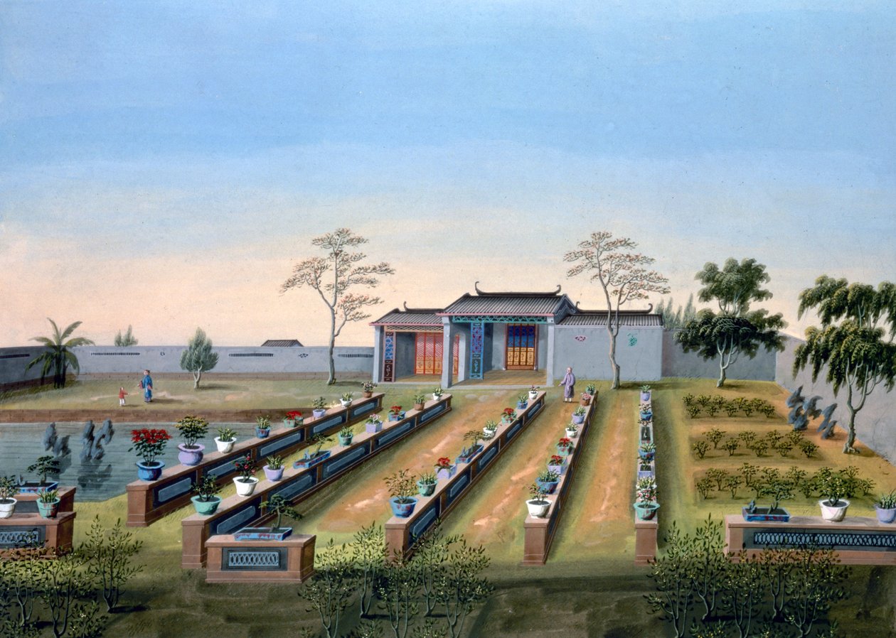 حديقة الحضانة ، الصين ، 1820-1840 بواسطة غير معروف