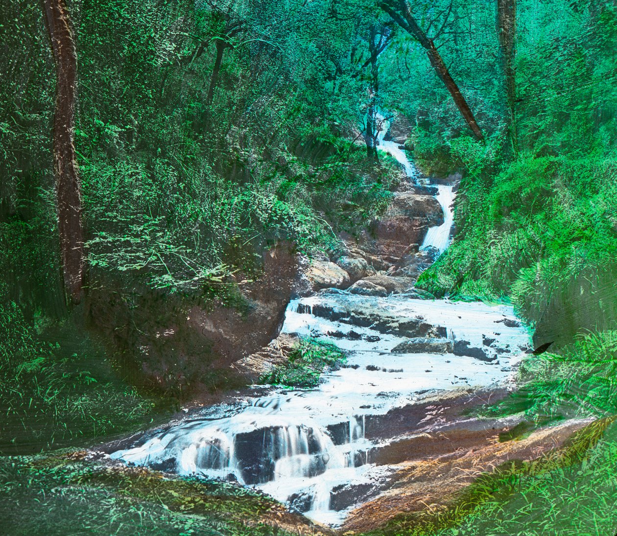 OSullivans Cascade ، كيلارني ، c1910 بواسطة غير معروف