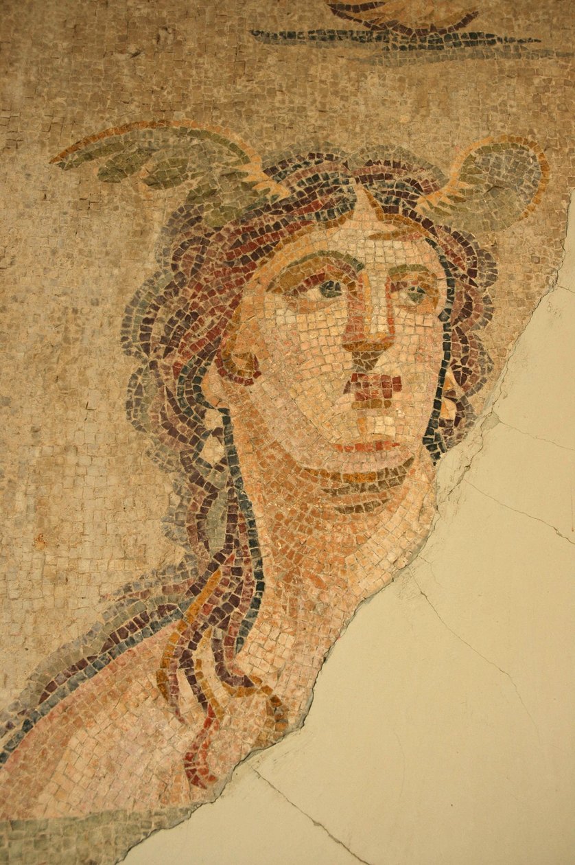 فسيفساء Oceanus و Thetis ، من إسكندروم ، تركيا بواسطة غير معروف