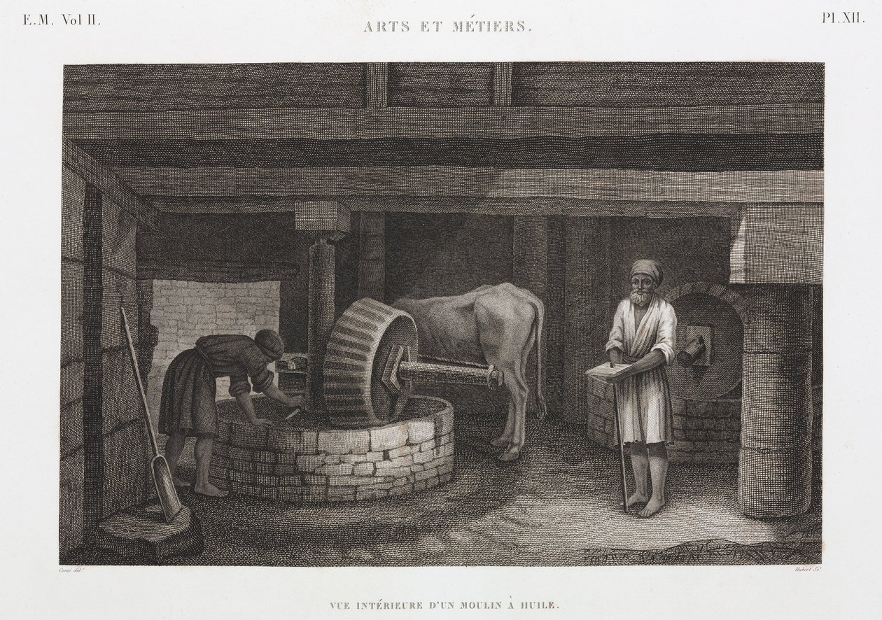 زيوت ودهون وشموع مطحنة زيت ، مصر عام 1798 بواسطة غير معروف