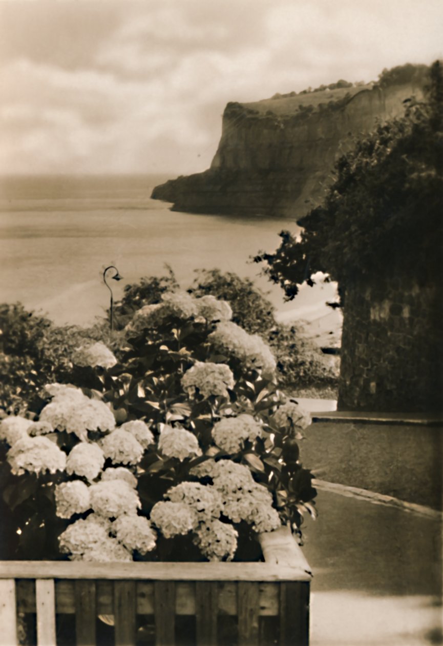 رأس شانكلين القديم ، IW ، c1920. بواسطة غير معروف