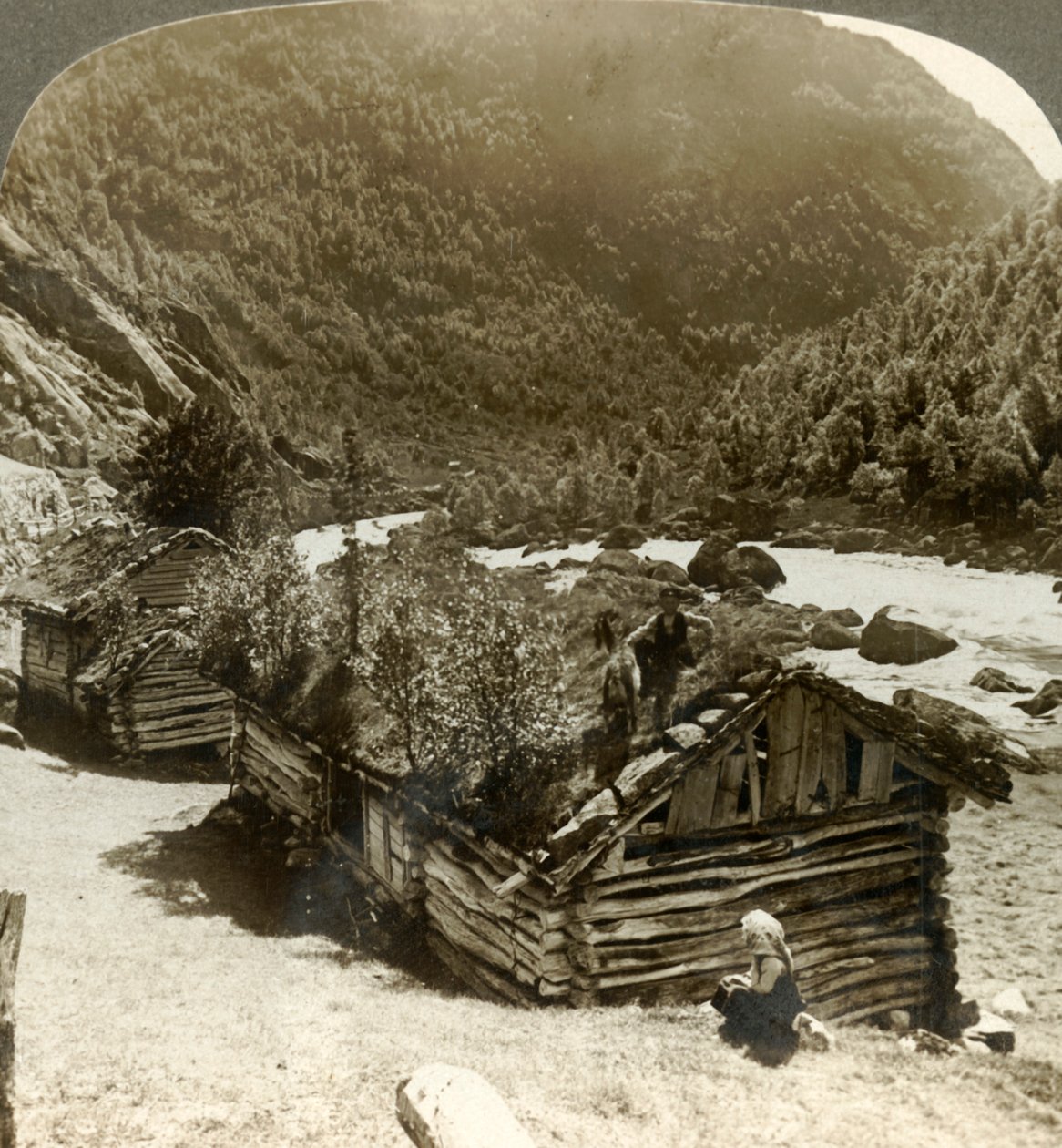 منازل خشبية قديمة في Bratslandsdal ، مع نمو الأشجار على أسطح مغطاة بالحلويات ، النرويج ، c1905. بواسطة غير معروف