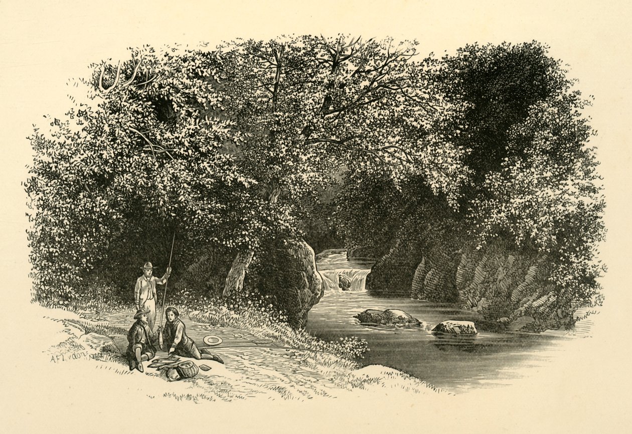 على Dargle ، c1890. بواسطة غير معروف