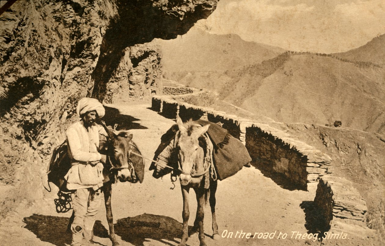 على الطريق إلى Theog ، Simla ، c1918-c1939. بواسطة غير معروف