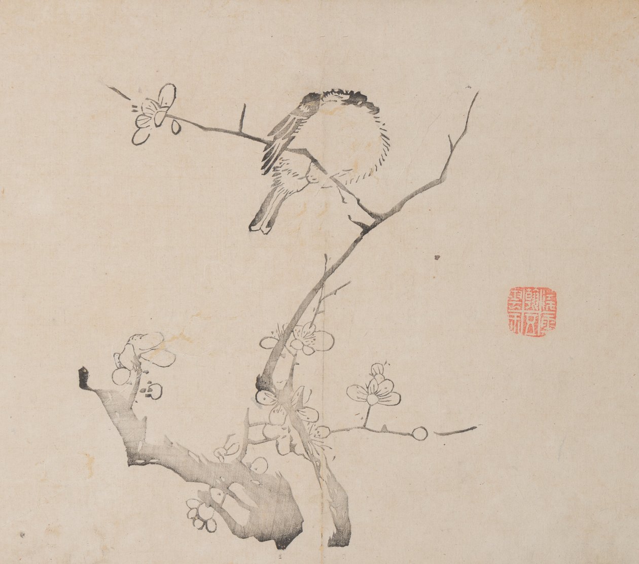صفحة من Shi Zhu Zhai Shu hua pu. بواسطة غير معروف