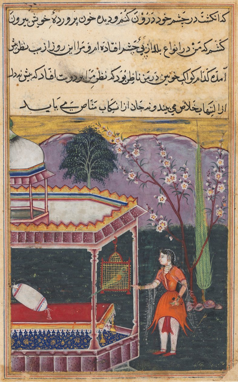 صفحة من حكايات ببغاء توتي ناما: الليلة الثامنة: الببغاء يخاطب خوجاستا ... ، 1558-1560. بواسطة غير معروف