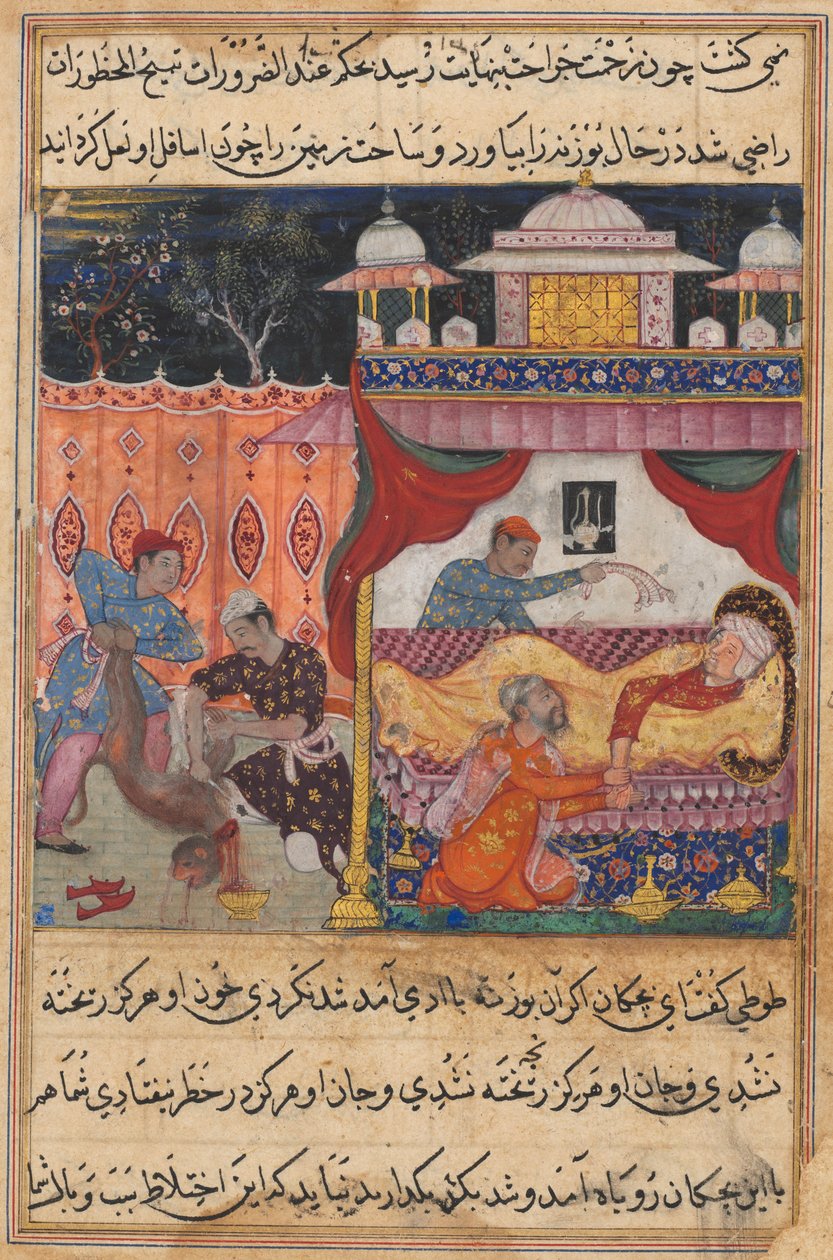 صفحة من حكايات ببغاء توتي ناما: الليلة الخامسة: القرد يقتل ، دمه ... ، ج. 1560. بواسطة غير معروف
