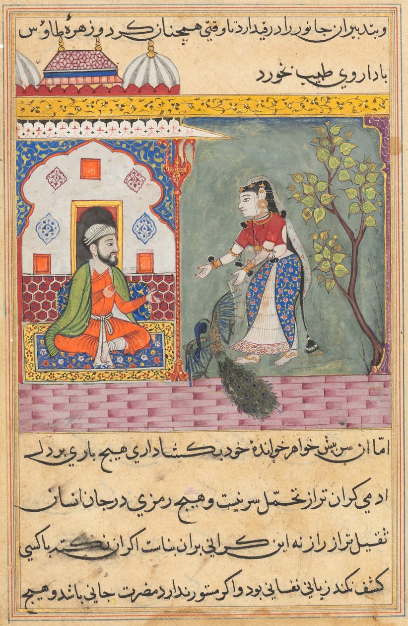 صفحة من حكايات الببغاء توتي ناما: الليلة التاسعة عشرة: زوجة البراهمان ... ، ج. 1560. بواسطة غير معروف