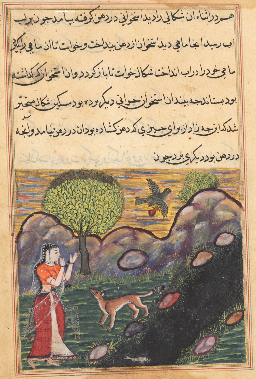 صفحة من حكايات الببغاء توتي ناما: الليلة السادسة عشرة: ابنة الزوج ... ، ج. 1560. بواسطة غير معروف