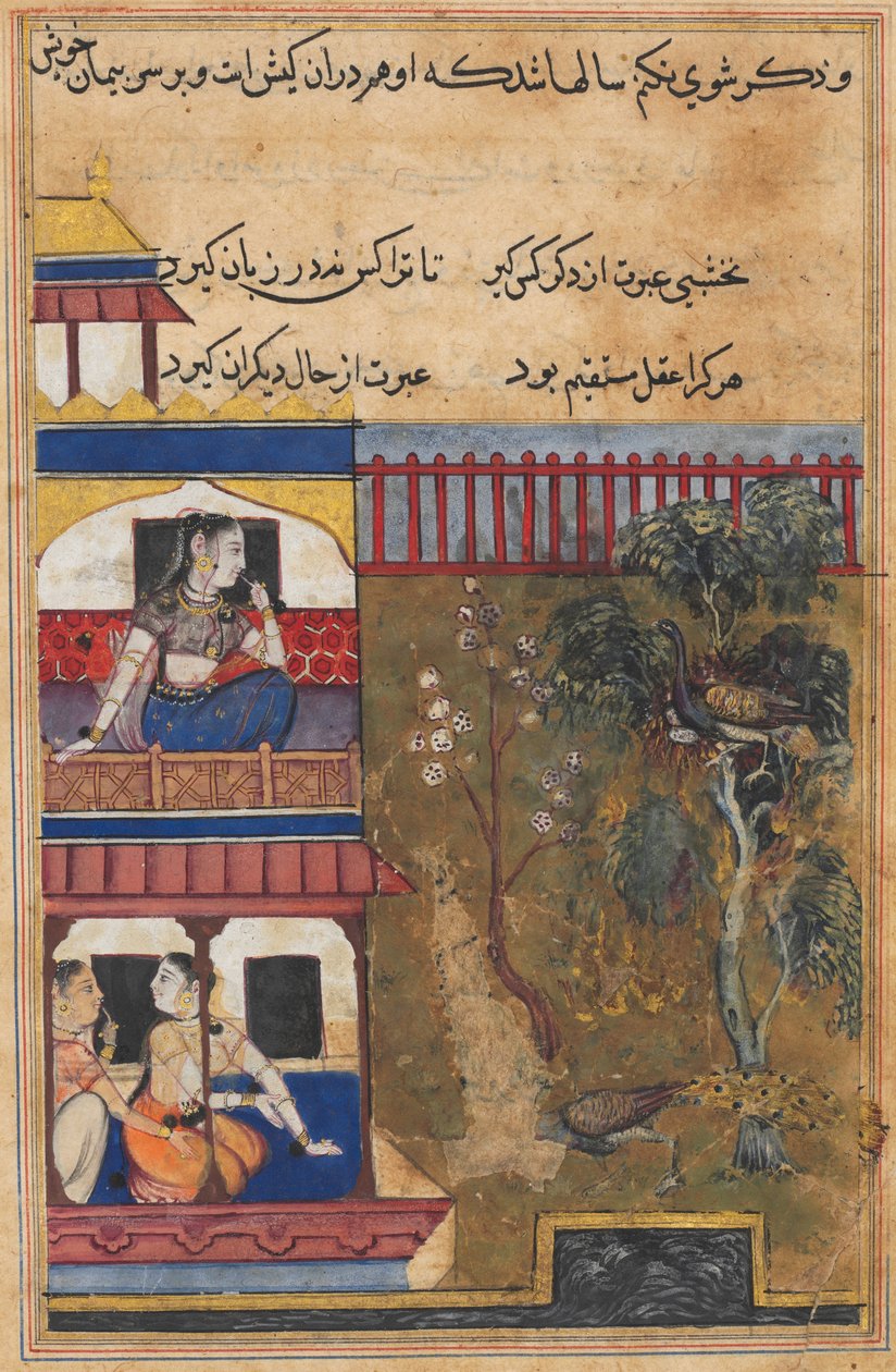 صفحة من حكايات الببغاء توتي ناما: الليلة التاسعة والثلاثون: ملكة الروم ... ، ج. 1560. بواسطة غير معروف