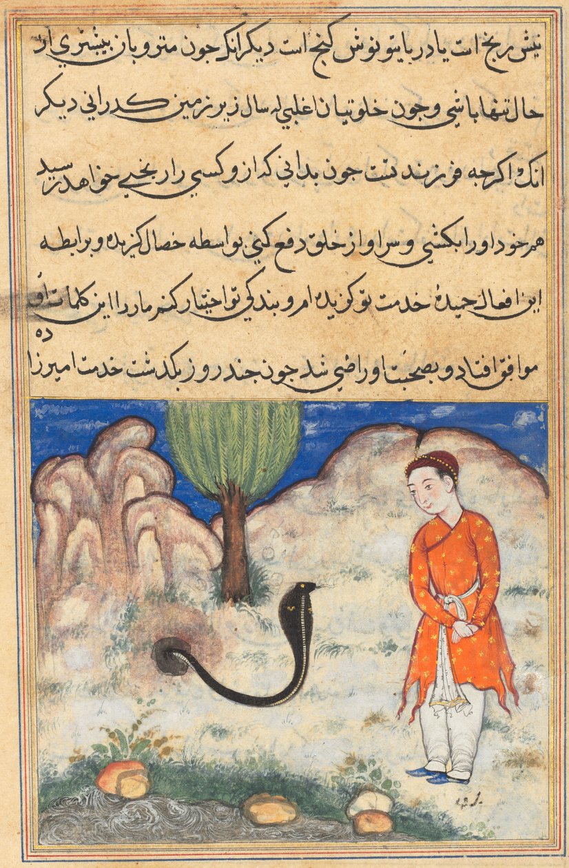 صفحة من حكايات ببغاء توتي ناما: الليلة السابعة والثلاثون: الأمير ... ، ج. 1560. بواسطة غير معروف