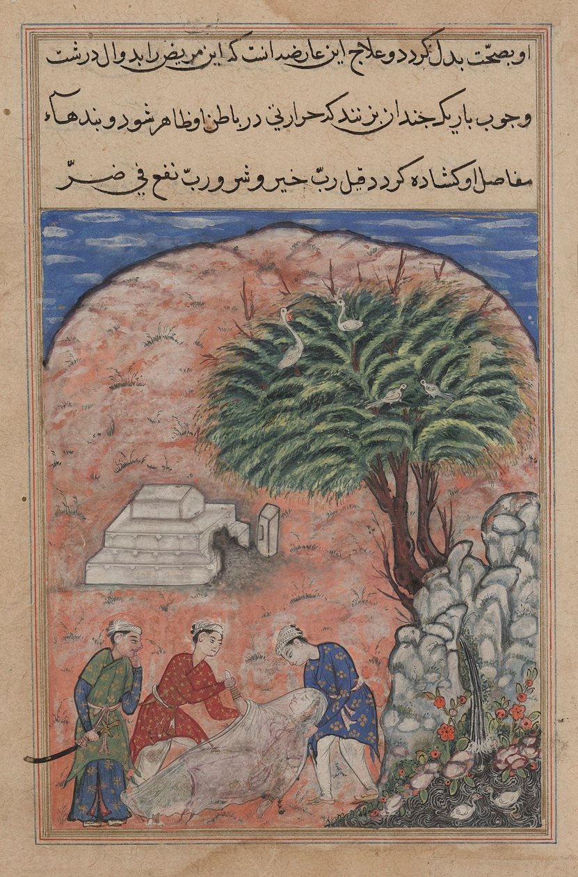 صفحة من حكايات ببغاء توتي ناما: الليلة العشرون: يأخذ الخاطفون ... ، ج. 1560. بواسطة غير معروف