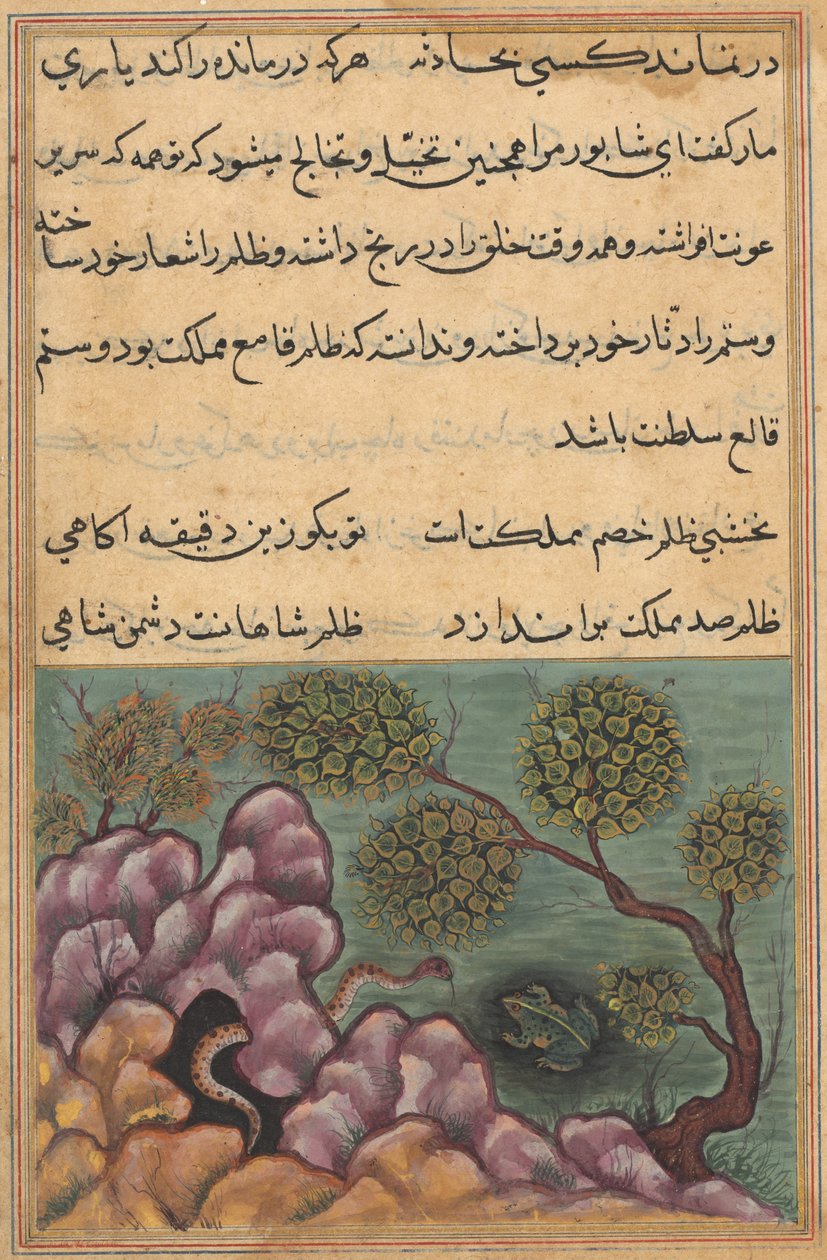 صفحة من حكايات ببغاء توتي ناما: الليلة السادسة والعشرون: الضفدع المخلوع ... ، ج. 1560. بواسطة غير معروف
