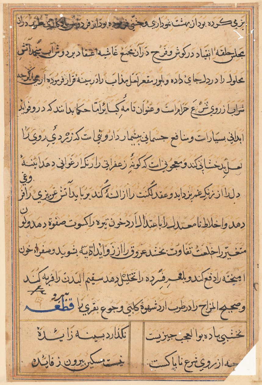 صفحة من حكايات ببغاء توتي ناما: صفحة نصية ، ج. 1560. بواسطة غير معروف