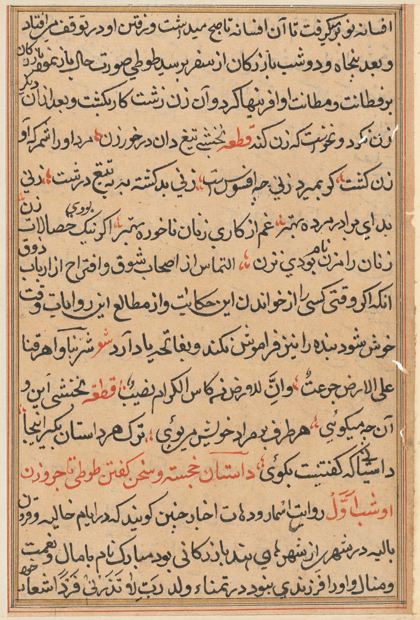 صفحة من حكايات ببغاء توتي ناما: صفحة نصية ، ج. 1560. بواسطة غير معروف