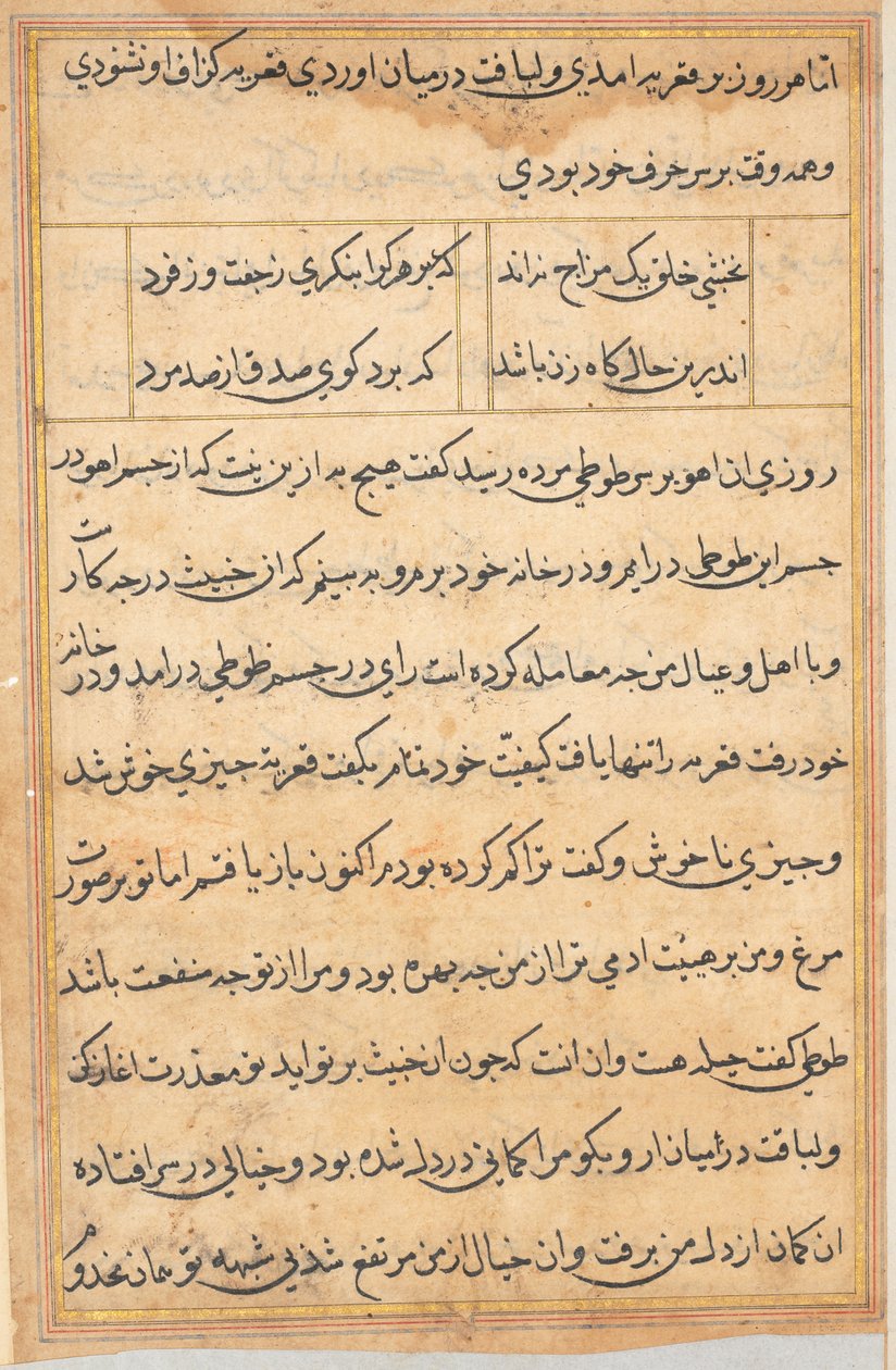 صفحة من حكايات ببغاء توتي ناما: صفحة نصية ، ج. 1560. بواسطة غير معروف