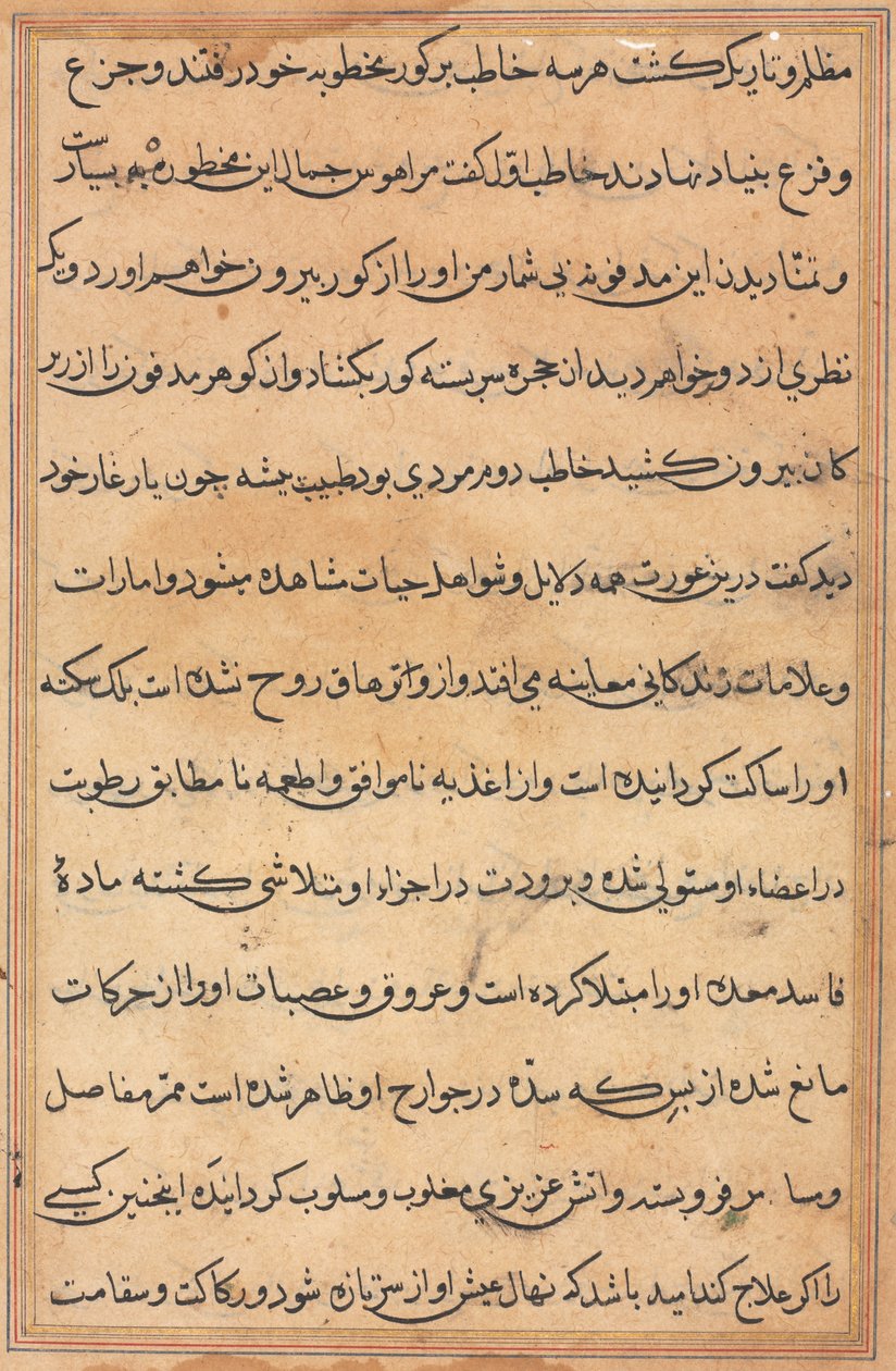 صفحة من حكايات ببغاء توتي ناما: صفحة نصية ، ج. 1560. بواسطة غير معروف