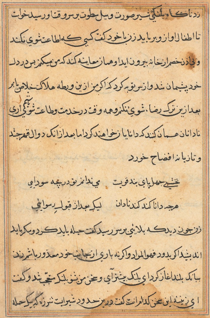 صفحة من حكايات ببغاء توتي ناما: صفحة نصية ، ج. 1560. بواسطة غير معروف