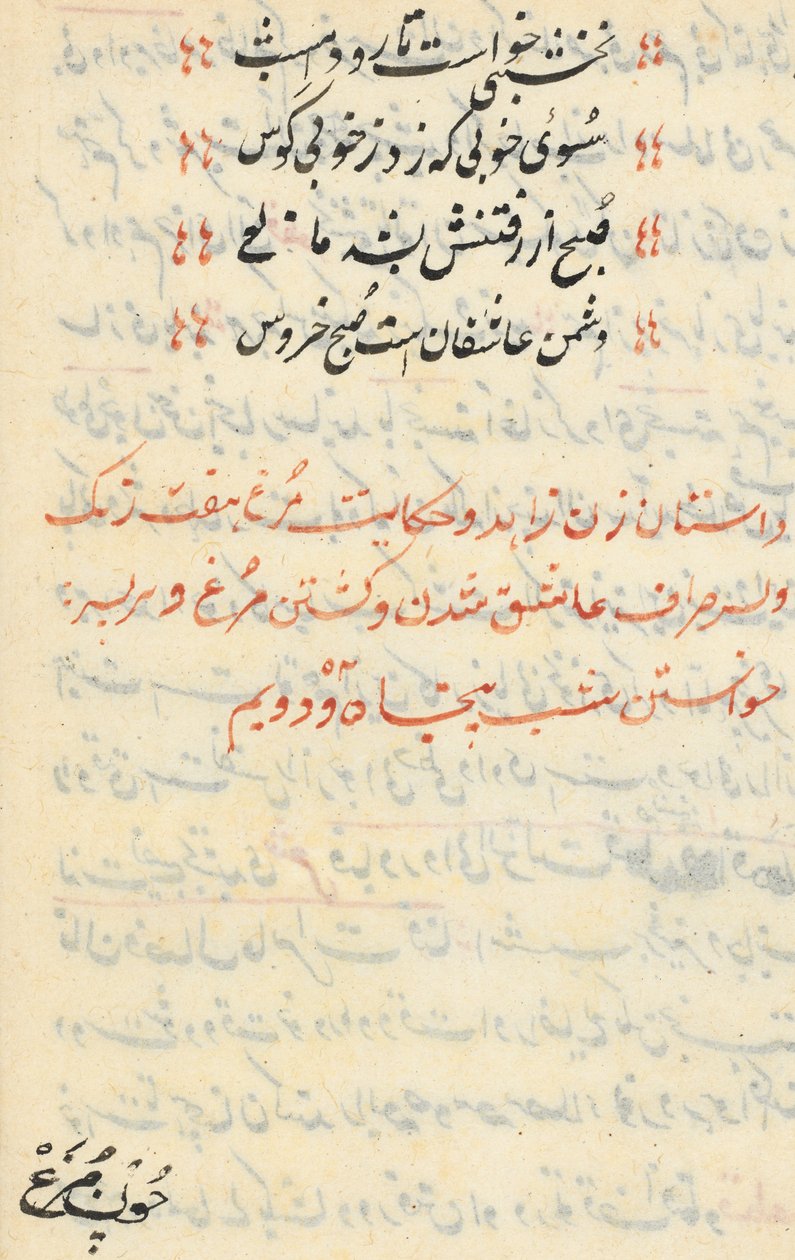 صفحة من حكايات ببغاء توتي ناما: صفحة نصية ، ج. 1560. بواسطة غير معروف