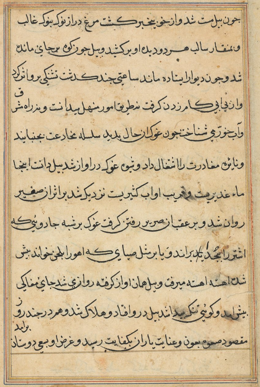 صفحة من حكايات ببغاء توتي ناما: صفحة نصية ، ج. 1560. بواسطة غير معروف