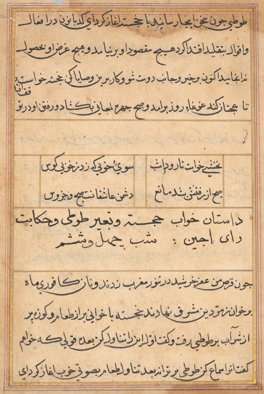 صفحة من حكايات ببغاء توتي ناما: صفحة نصية ، ج. 1560. بواسطة غير معروف