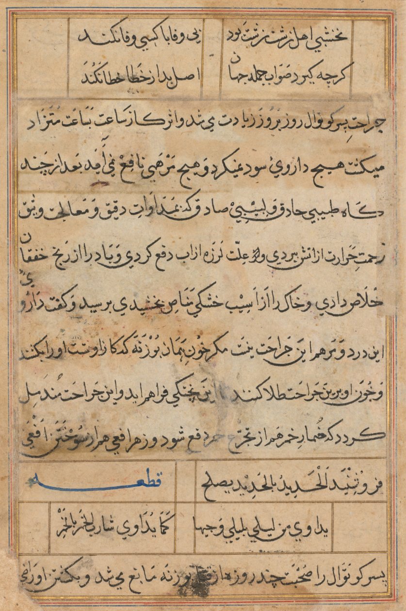 صفحة من حكايات ببغاء توتي ناما: صفحة نصية ، ج. 1560. بواسطة غير معروف