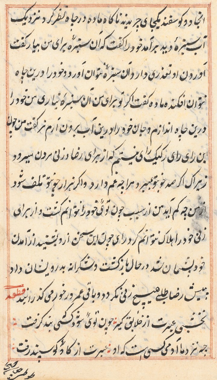 صفحة من حكايات ببغاء توتي ناما: صفحة نصية ، ج. 1560. بواسطة غير معروف