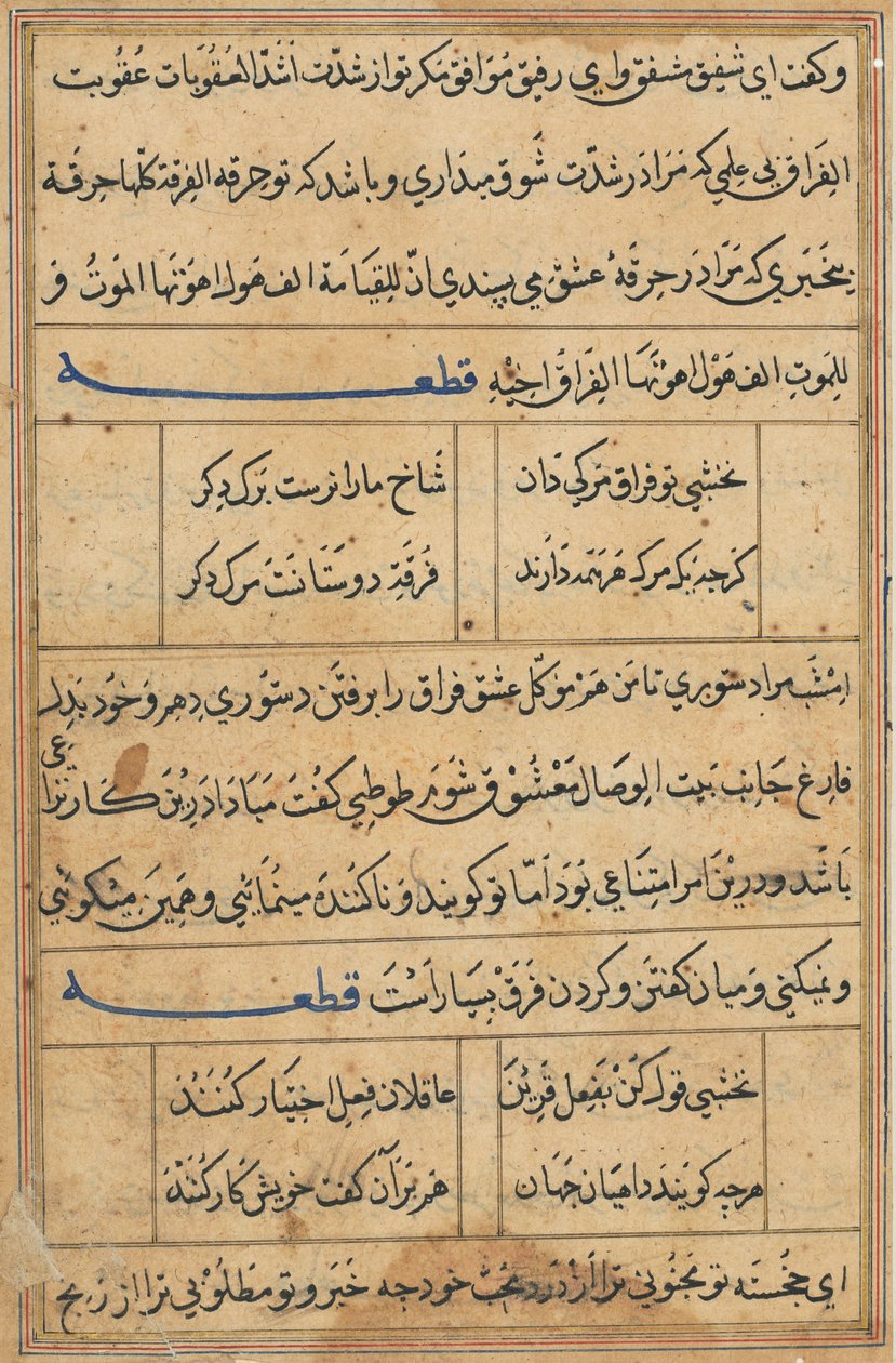 صفحة من حكايات ببغاء توتي ناما: صفحة نصية ، ج. 1560. بواسطة غير معروف