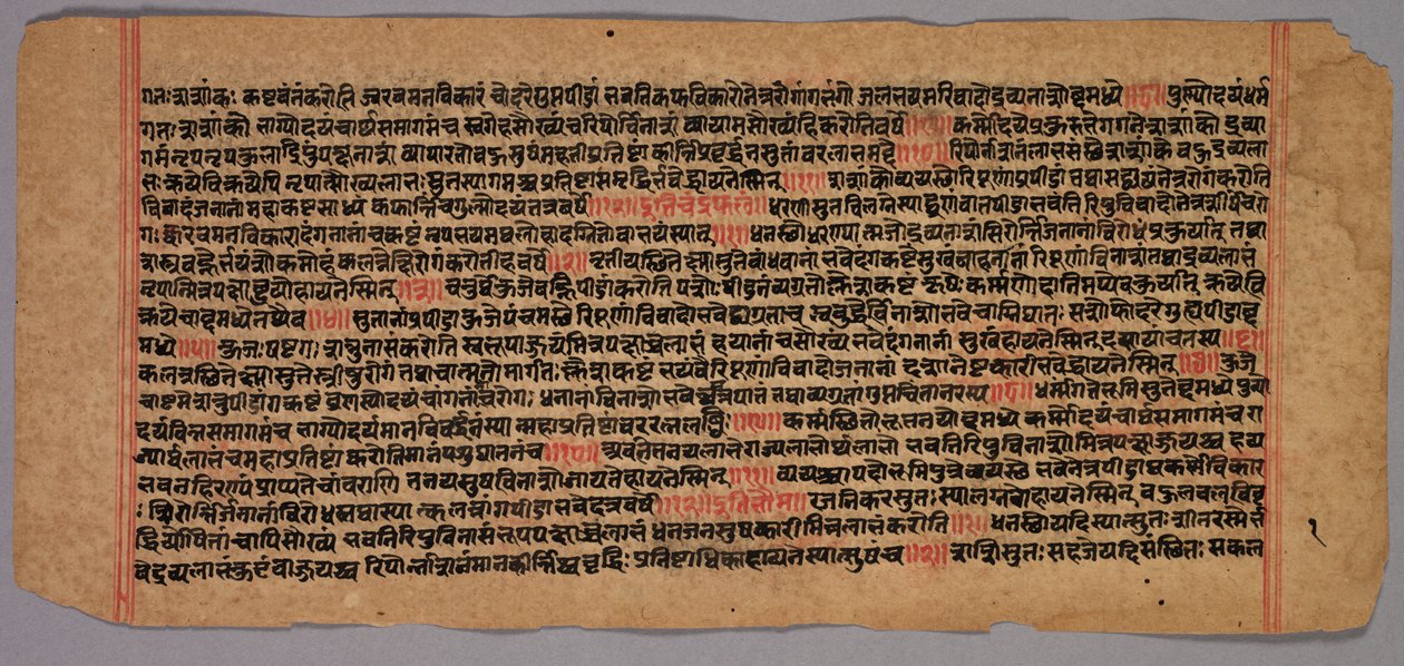 صفحات من مخطوطة Jaina ، 1400s-1500s. بواسطة غير معروف