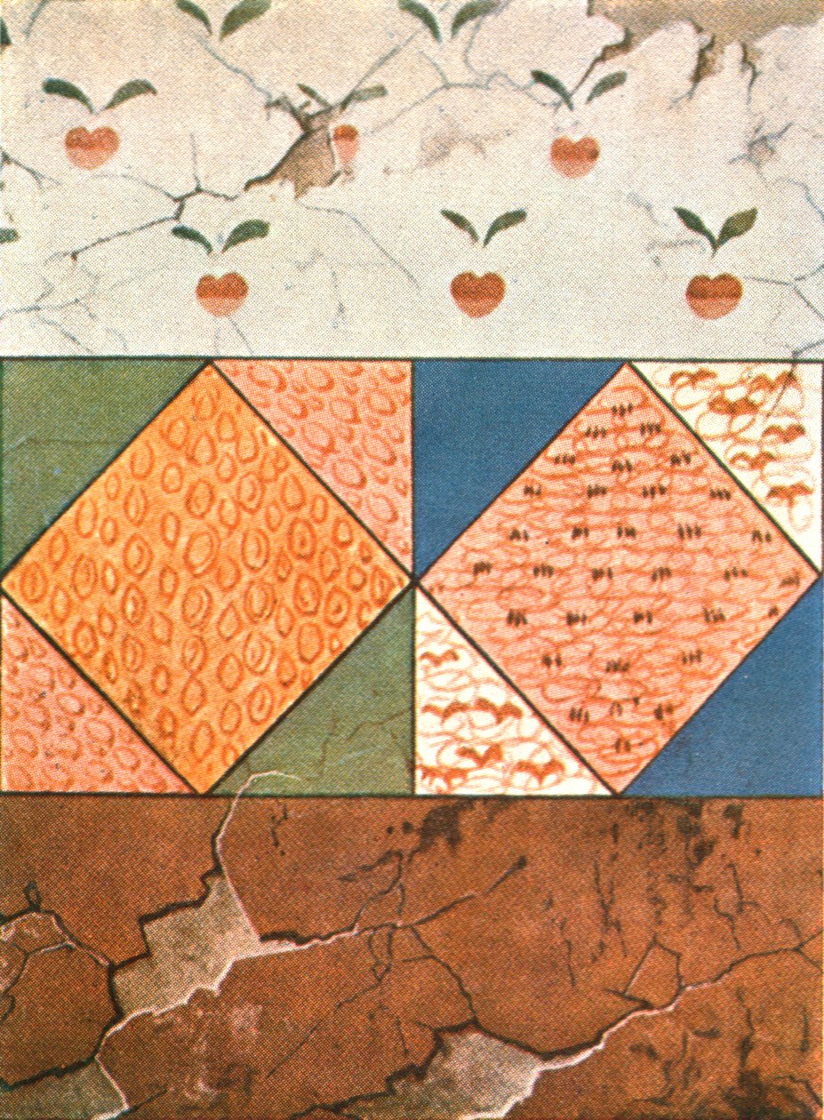 زخرفة مرسومة في سرداب ستاسوفسكي ، سيموريان بوسفور ، كيرتش ، 1928. بواسطة غير معروف