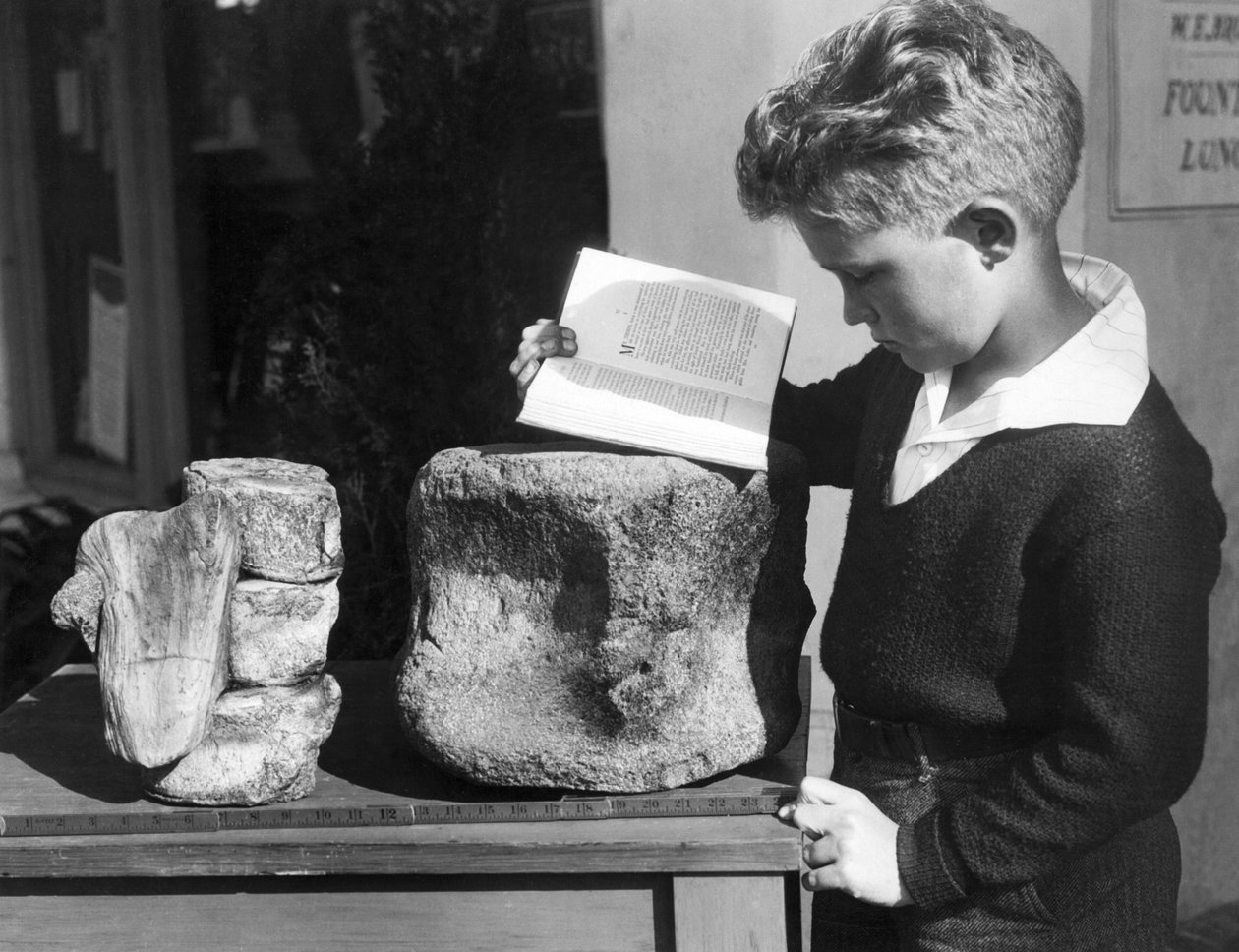 بالوس فيرديس ، كاليفورنيا: حوالي عام 1927 صبي صغير يدرس علم الآثار باستخدام فقرات متحجرة من عصور ما قبل التاريخ وجدت في التلال القريبة. (ب / ث الصورة) بواسطة غير معروف