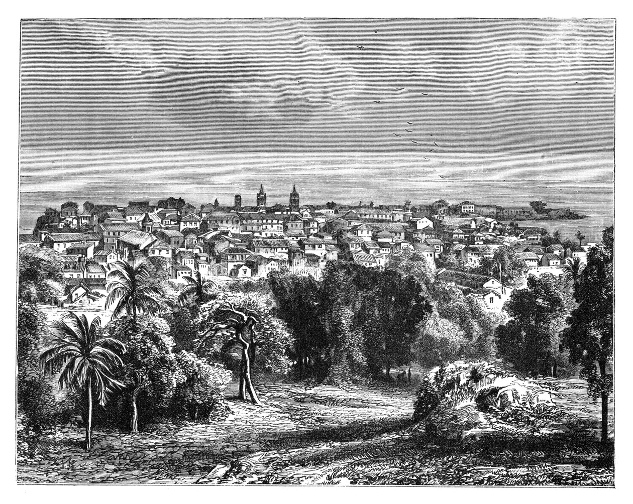 مدينة بنما من جبل أنكون ، c1890 بواسطة غير معروف