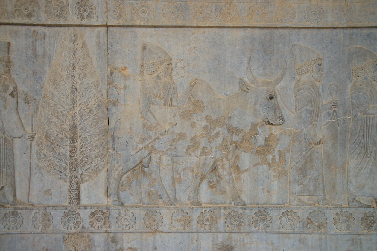 برسيبوليس ، إيران (الصورة) بواسطة غير معروف