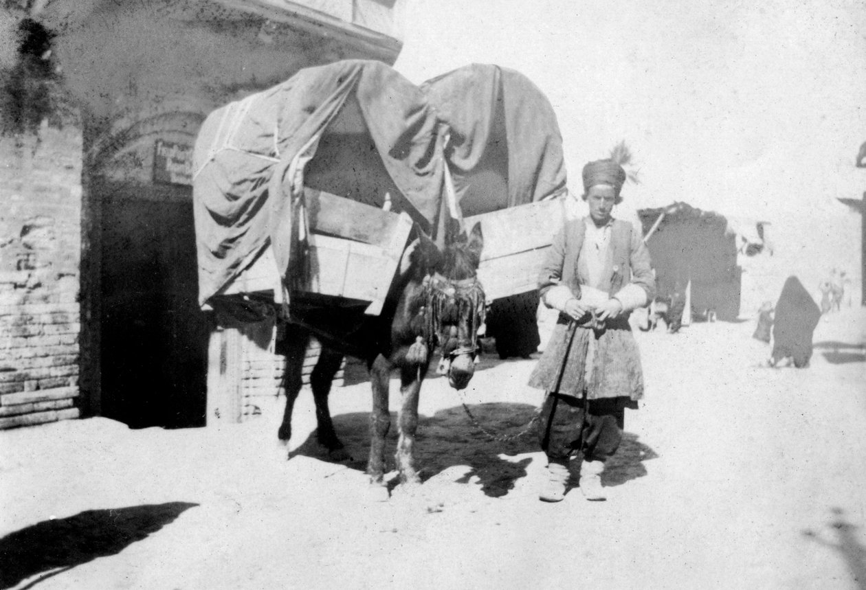 نقل الحمار الفارسي ، بغداد ، العراق ، 1917-1919 بواسطة غير معروف