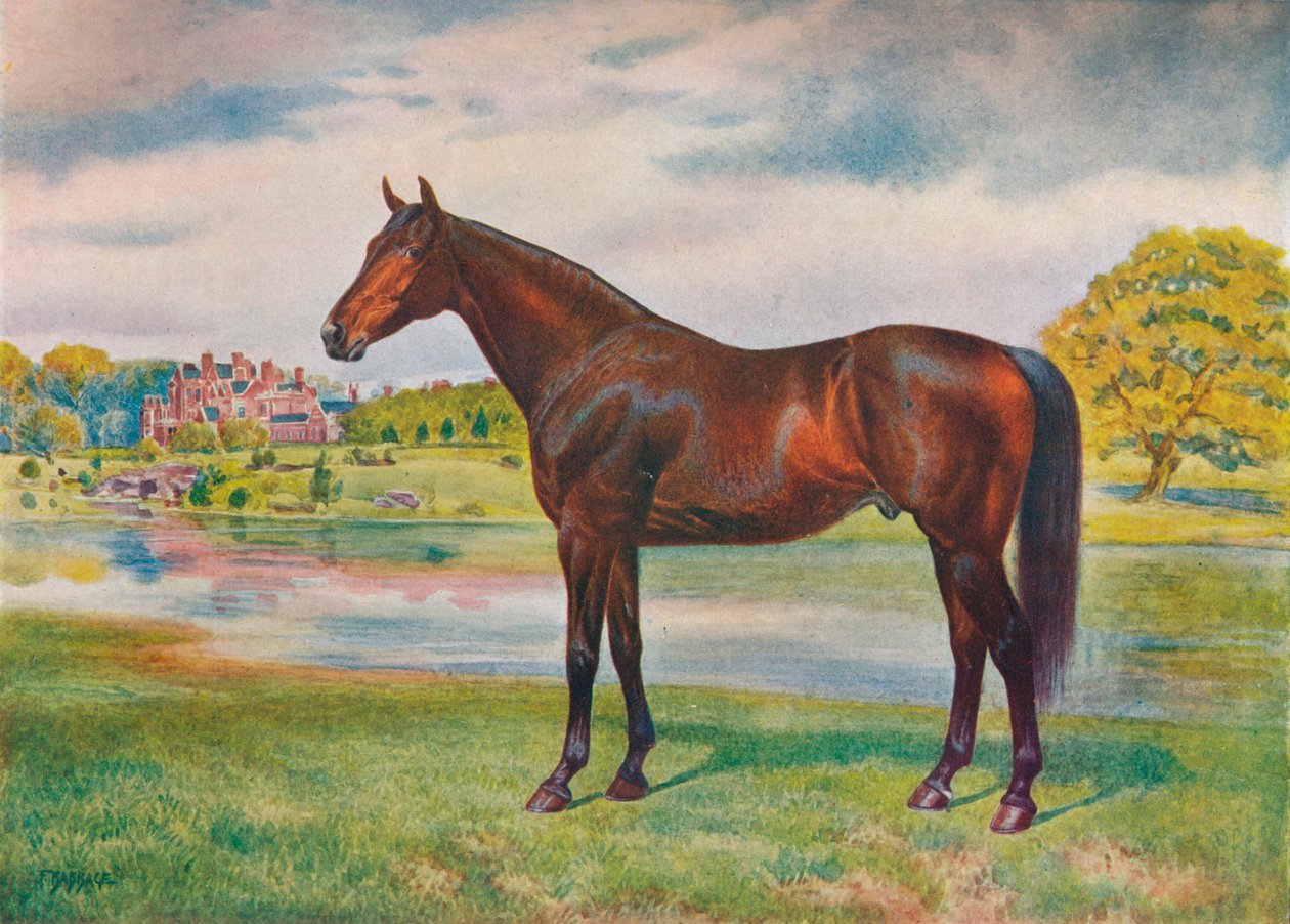 البرسيمون ، c1905 c1910 بواسطة غير معروف