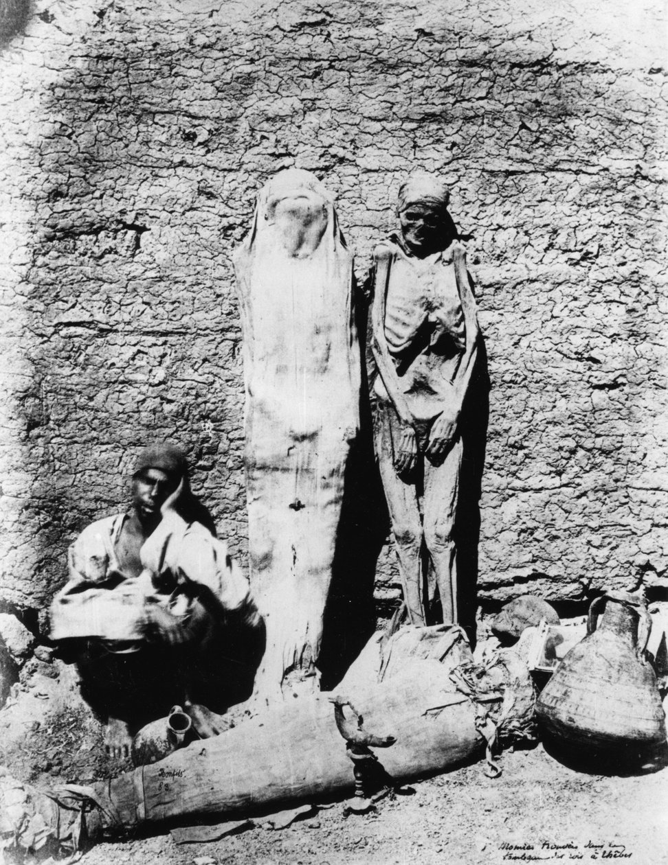 صورة لمومياوات 1860 بواسطة غير معروف